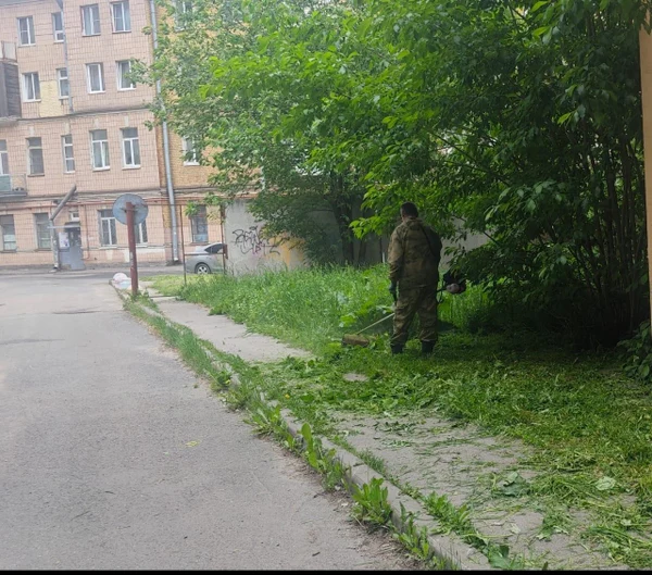 image-3