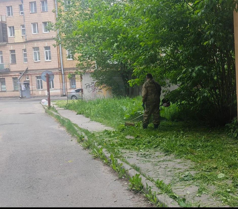 image-3
